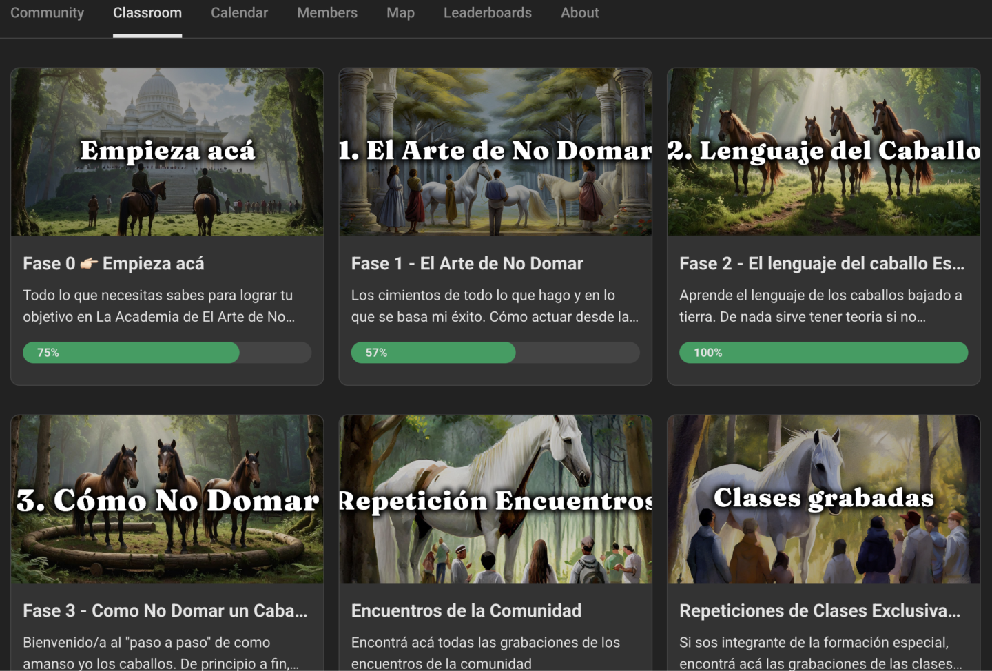 Academia El Arte de No Domar
