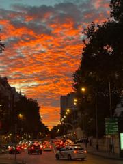 Nerea Fernandez Ladera