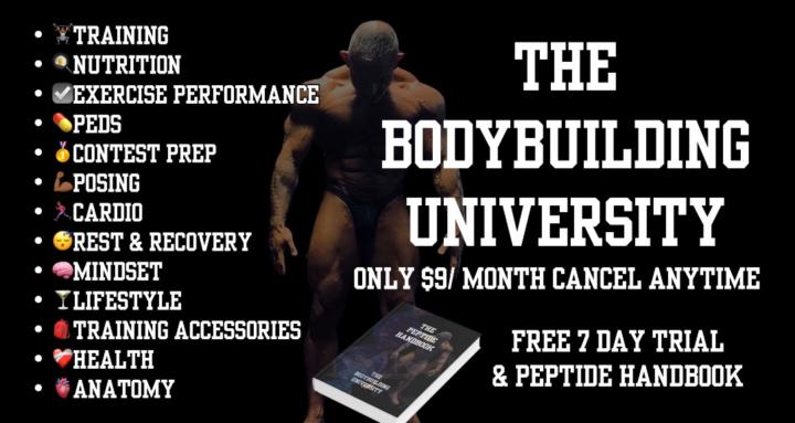 The Bodybuilding University