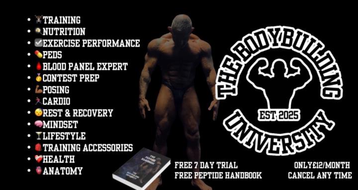 The Bodybuilding University