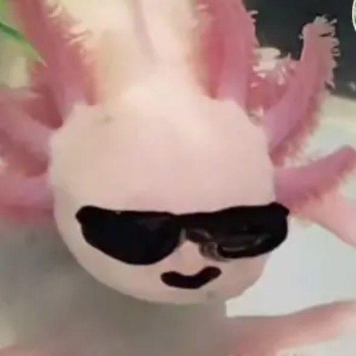 Натали Раевская