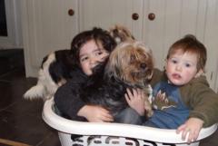 Tristan Palmer Morales