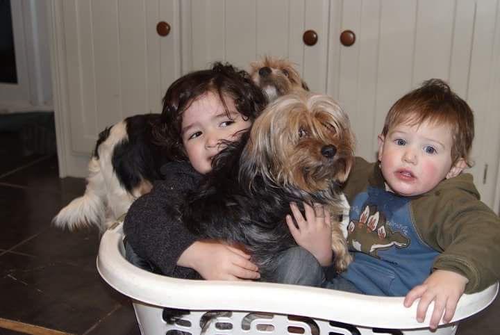 Tristan Palmer Morales