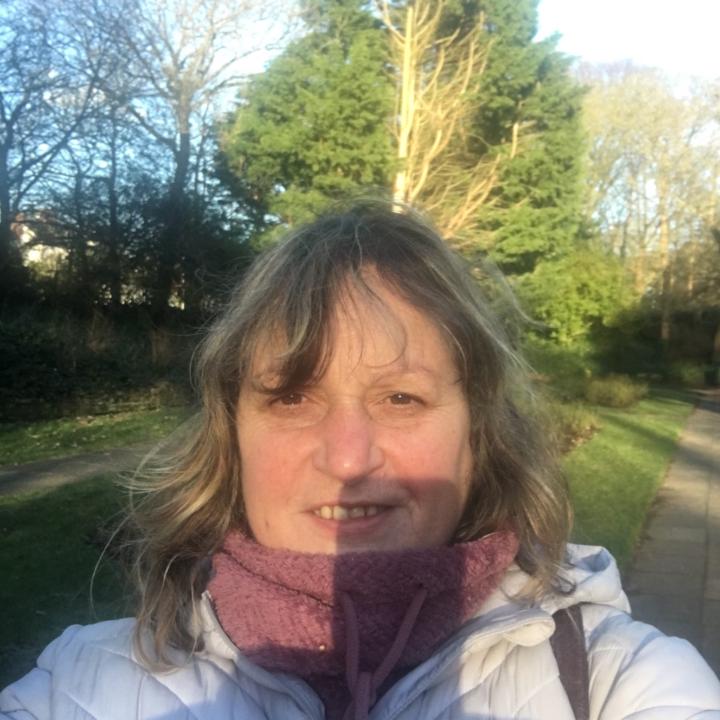 Sandi Teale