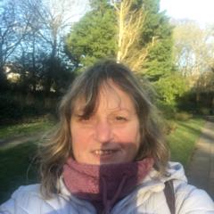 Sandi Teale