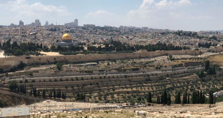 The King's Entrepreneurs