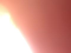 Nabeela N