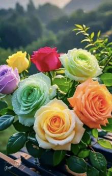 Anam Razzaq