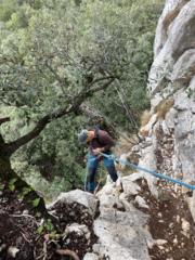 Isaac Tomás Sanahuja