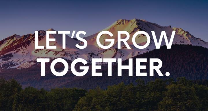 True North Collective