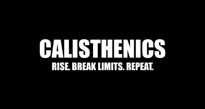 World Of Calisthenics