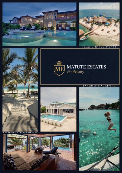 Capstone Assignment #1