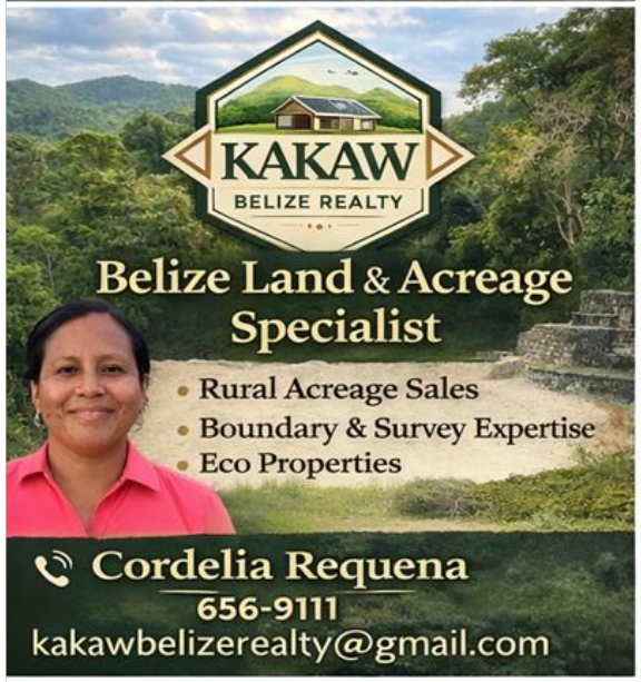 Belize Themed Real Estate Posts