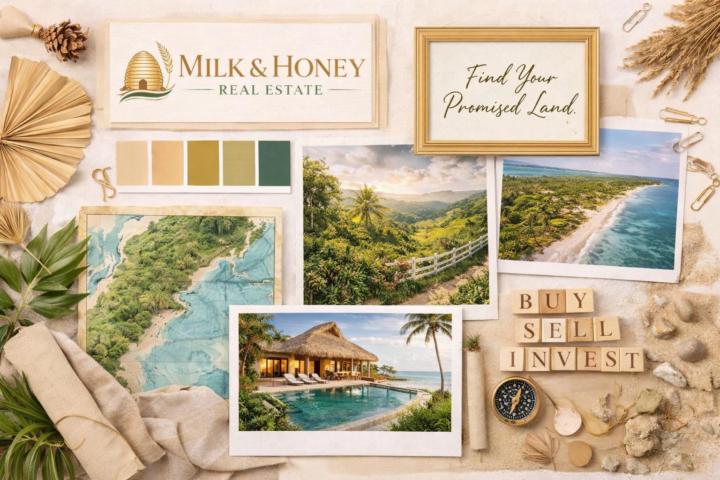 Capstone Assignment #1