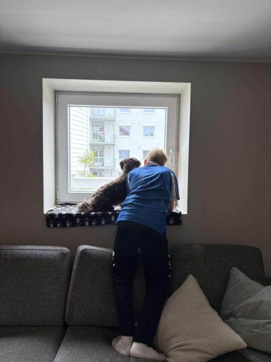 Benjamin Griksas sæle