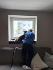 Benjamin Griksas sæle