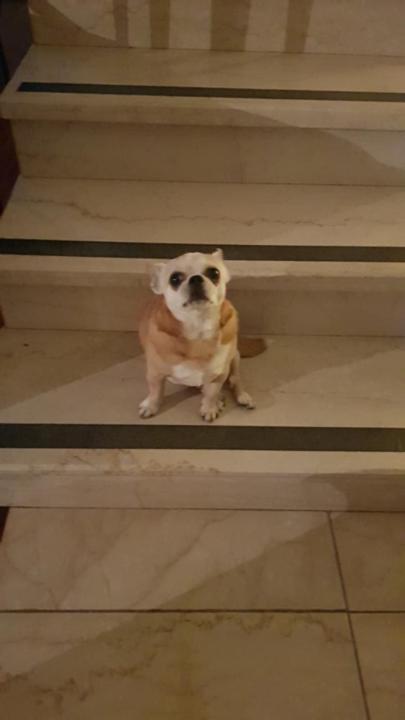 Gabriel Agustin Santana