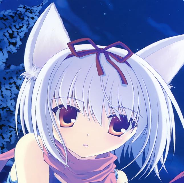 Kamil Czeszejko-Sochacki