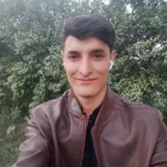 Syed Musadiq Hussain