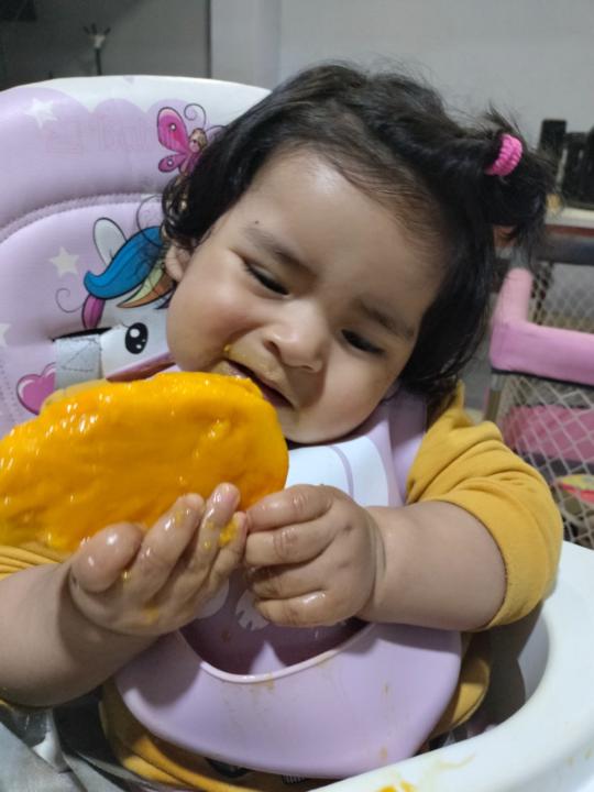 Josselyn Linares Barraza