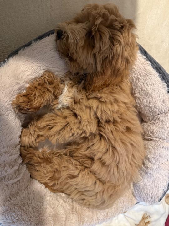 Kirsty Douglas-Reeve