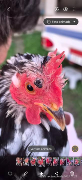 Fernando González Barreiro