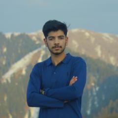 Syed Turab Naqvi