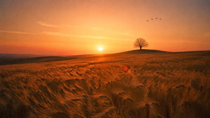 David Barry