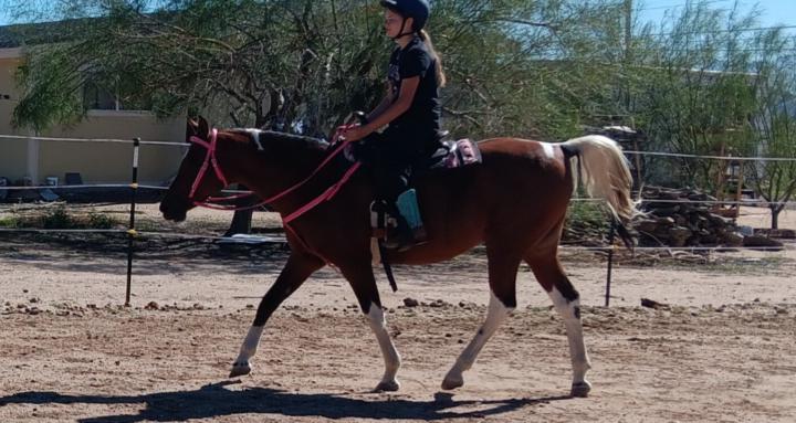 Hammers Horses