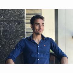 Mohamed Saied Mansour