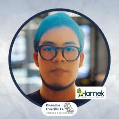 Brandon Geinstein Carrillo Grandez