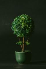 Nanda Rizky Pramudya