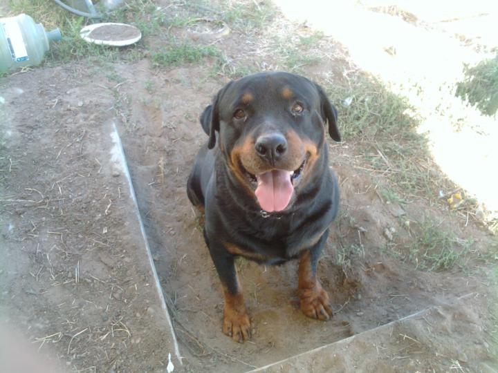 In Loving Memory of Two Fifty