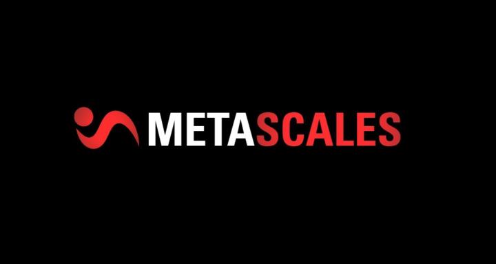 Groupe Metascales