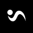 Logo METASCALES : SCALING SECRETS