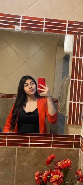 Delfina Pumara Villafañe