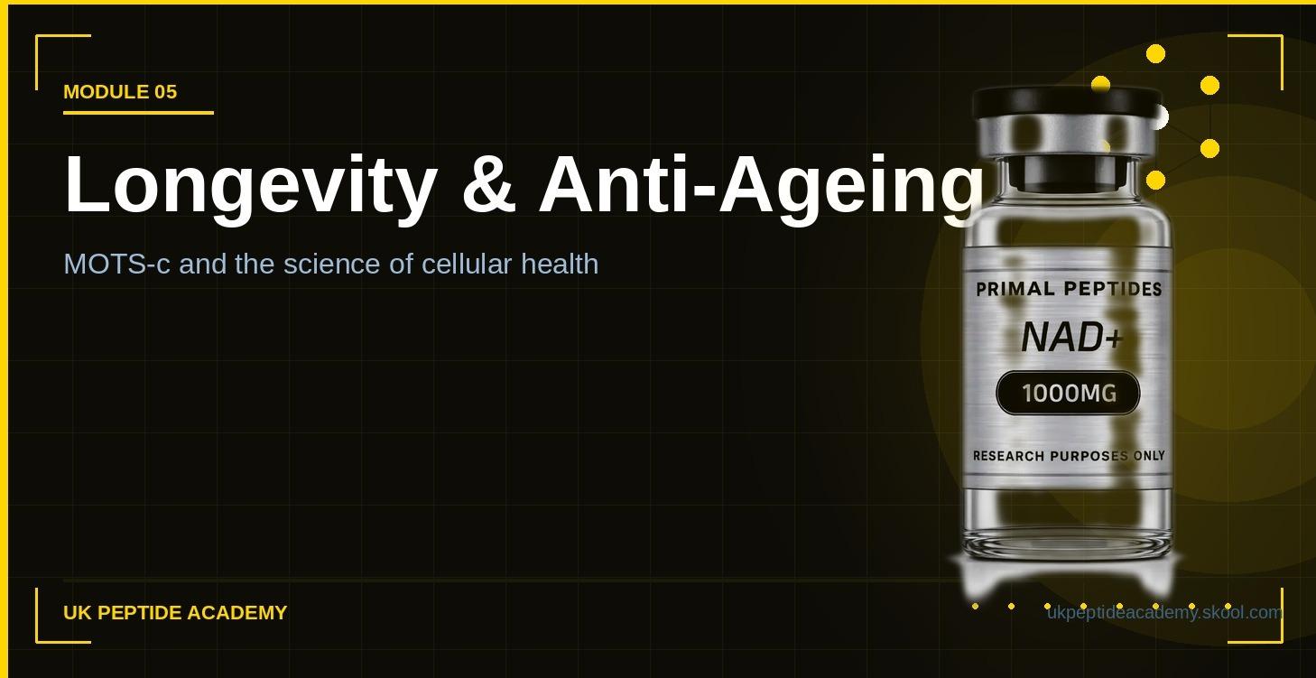 Longevity, Beauty & Anti Ageing
