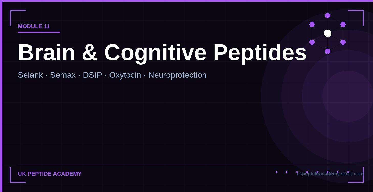 The Brain & Cognitive Peptides at a Glance