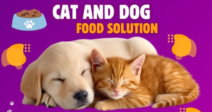 Cat and Dog Food Solution