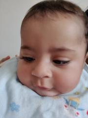 Shahmeer Elahi