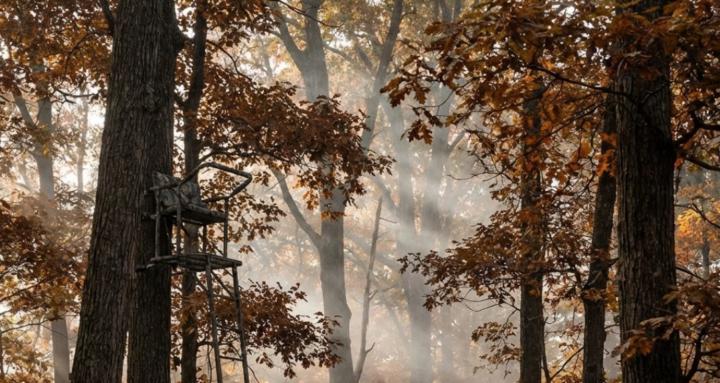 Archery Hunting Tactics