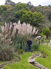 Kener Mercado Gutierrez