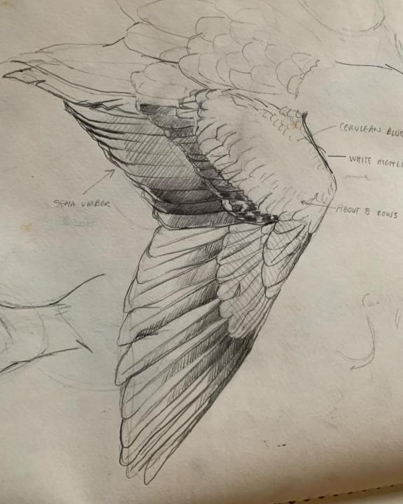 Learning by winging it