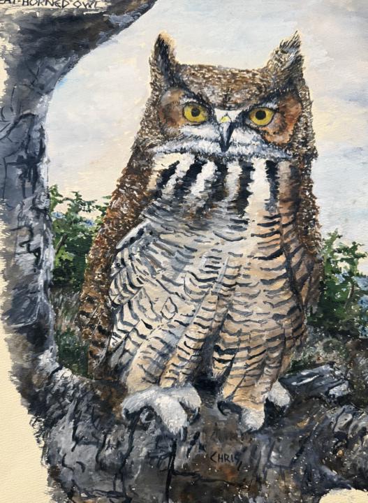 How my birding and art evolved together