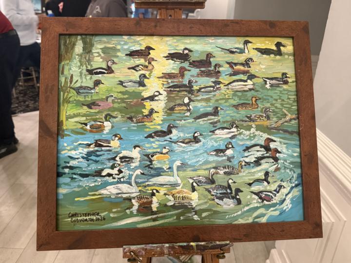 Raising Money for Ducks Unlimited with The Art of Birding