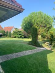 Mittenbuhler Evelyne