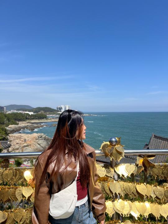Han Vu