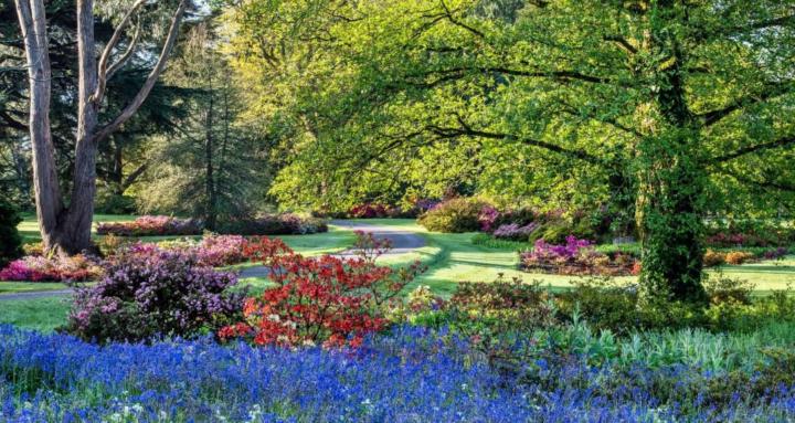 The Garden Coach