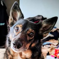 Ludmiła Kucharska