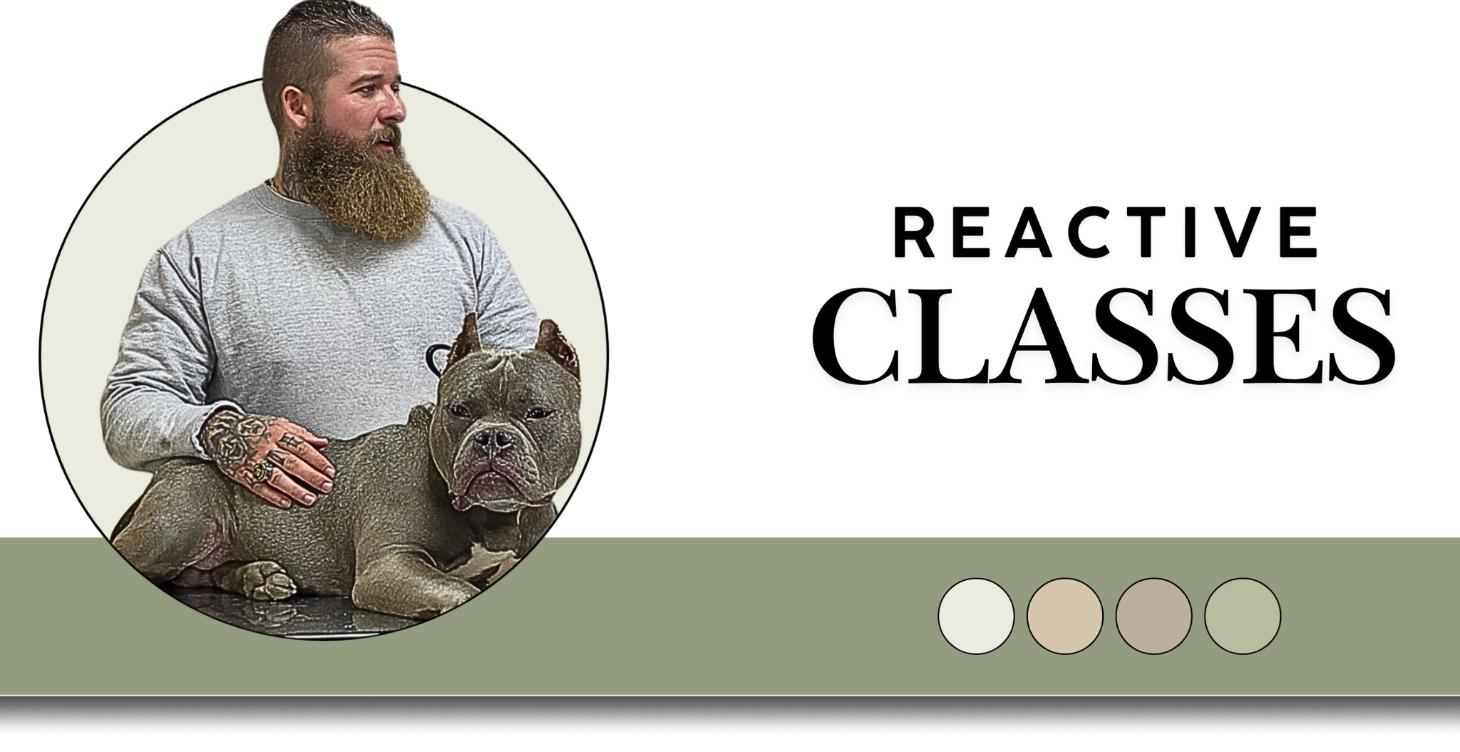 Reactive Classes Starts Jan 7th